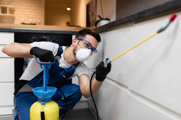 Best Mosquito Control Services  in Newcomerstown, OH