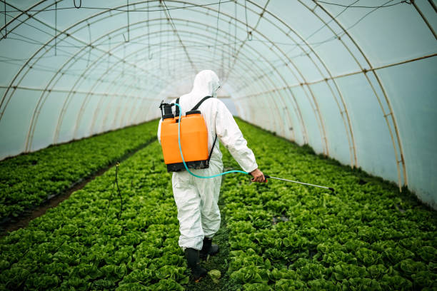 Best Pest Prevention Services  in Newcomerstown, OH