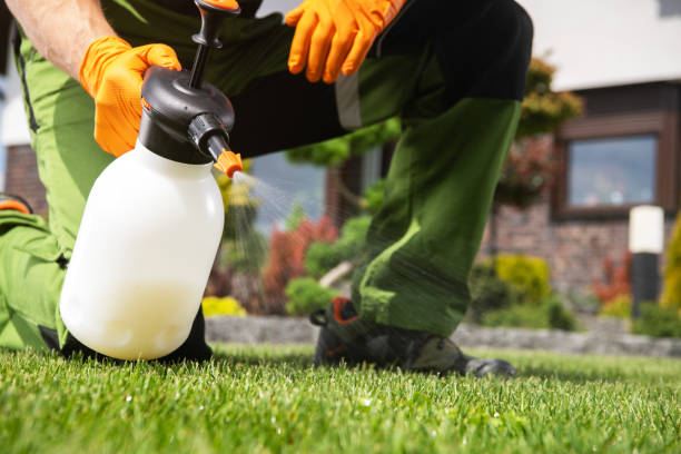  Newcomerstown, OH Pest Control Pros