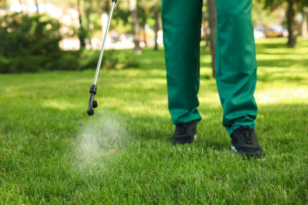 Best Exterminator Services  in Newcomerstown, OH