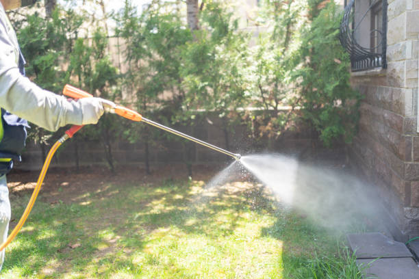 Best Cockroach Control Services  in Newcomerstown, OH