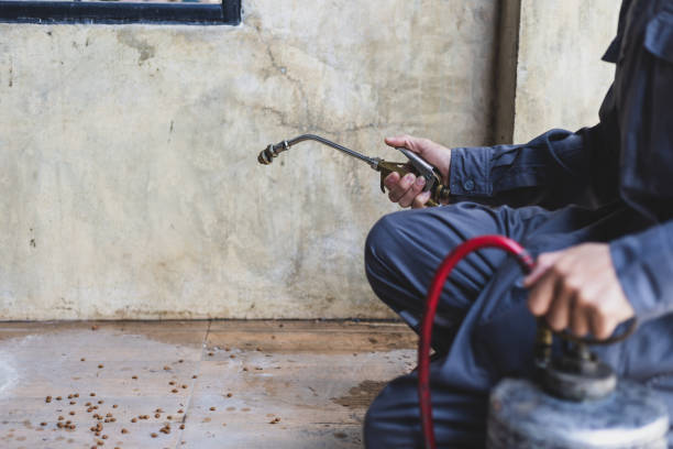 Best Best Pest Control Companies  in Newcomerstown, OH